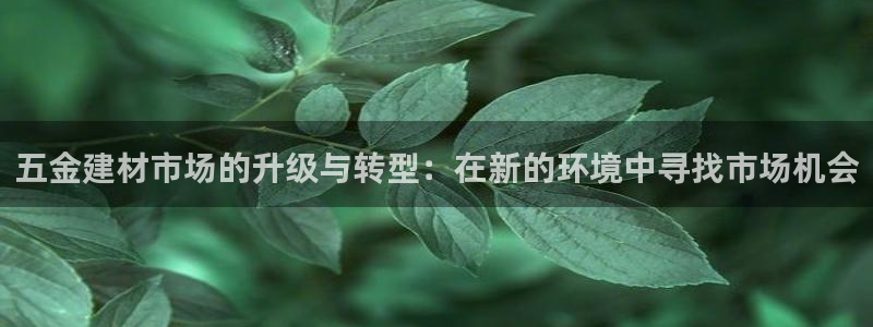 恒行2郑74OOO5