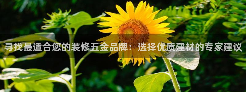 恒行2尤74OOO5