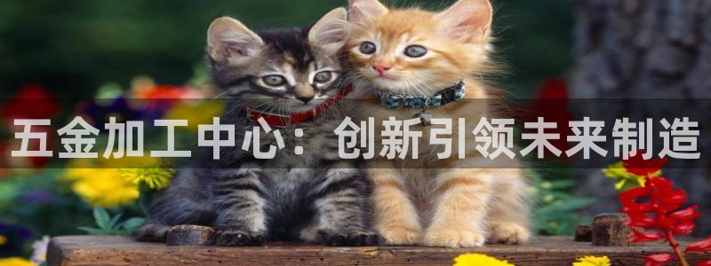 恒行主管6ll5l指定