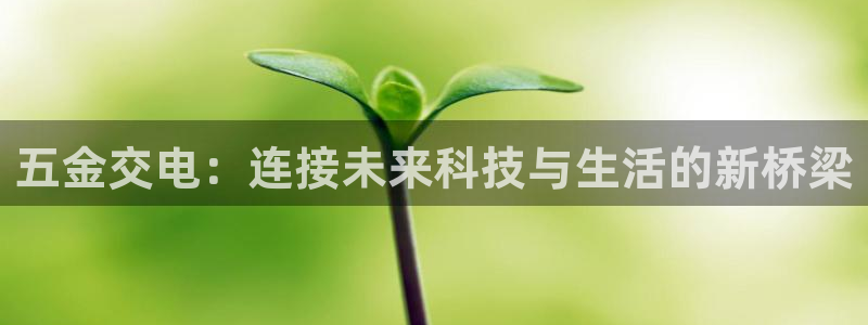 恒行招商老大诚挚 6ll5l