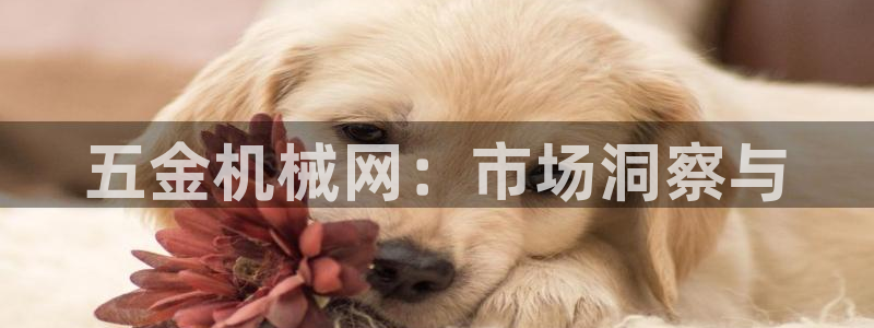 恒行娱乐蜗74ooo5指磁