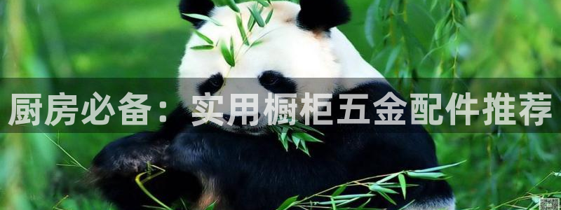 恒行娱乐冯74OOO5