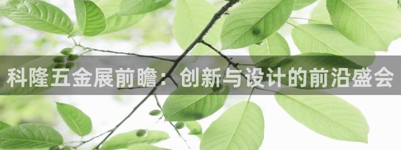 恒行2尤74OOO5