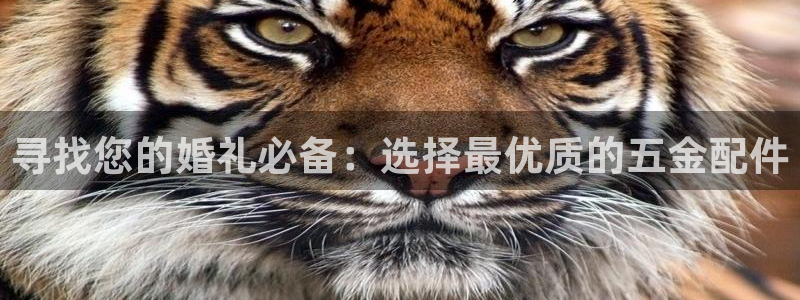 恒行2乃5O6917