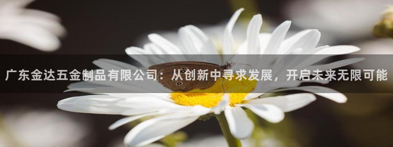 恒行2那74OOO5