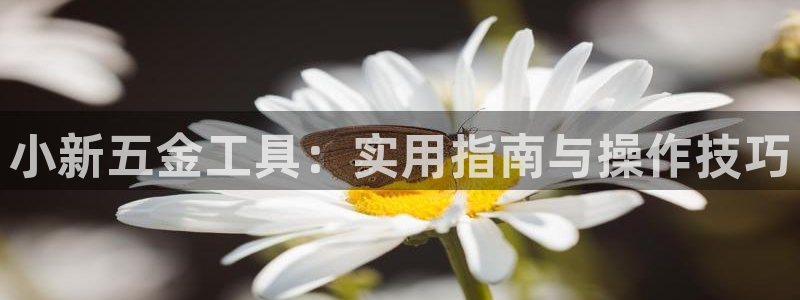 恒行彩票亏5千