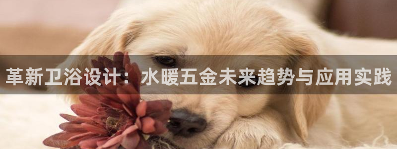 恒行2许74OOO5