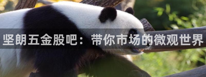 恒行2下74OO5