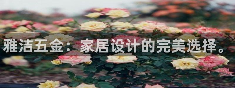 恒行2冯74OOO5
