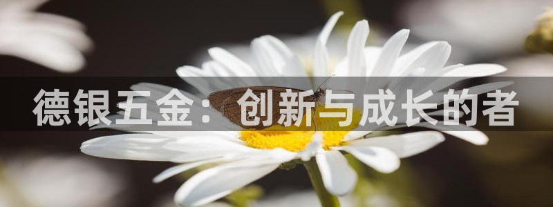 恒行2韩74OOO5