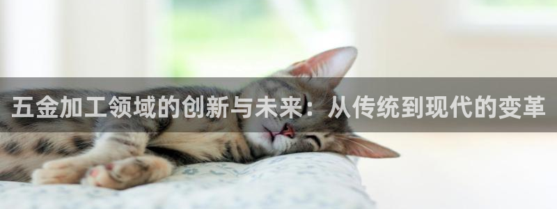恒行2许74OOO5