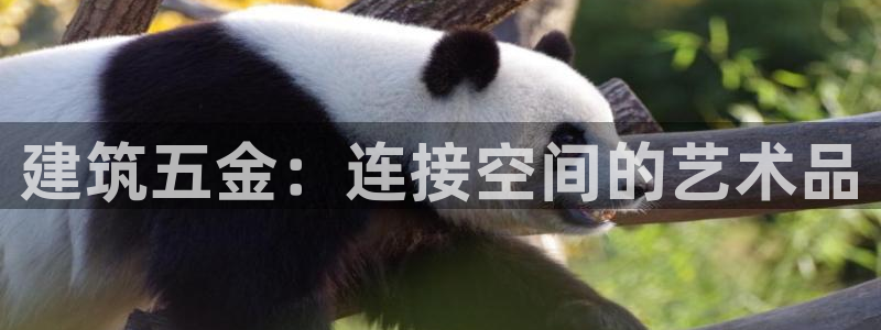 恒行娱乐5ll533主管优雅