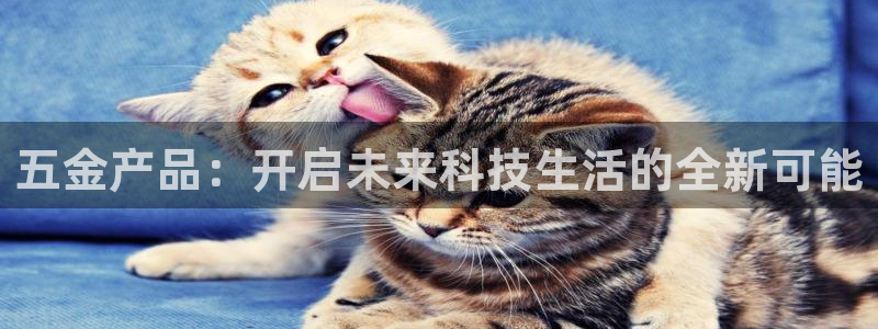 恒在5行中代表什么数字
