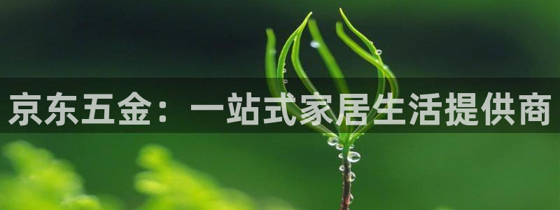 恒行5