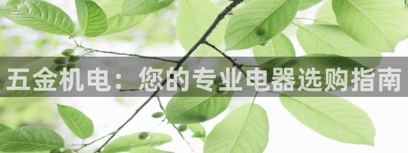 恒行娱乐河沂74ooo5程