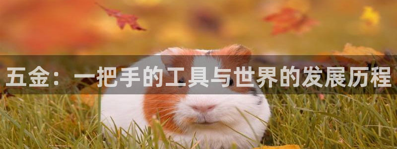 恒行娱乐芍皇74ooo5蛹