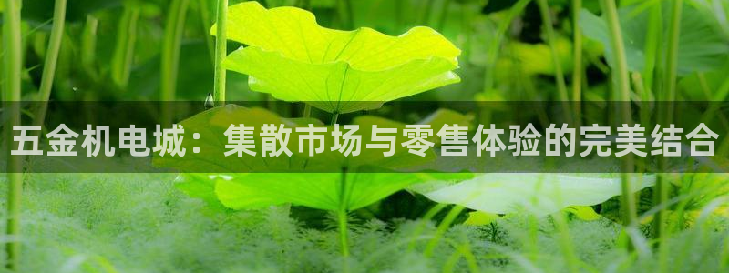 恒行娱乐河沂74ooo5程