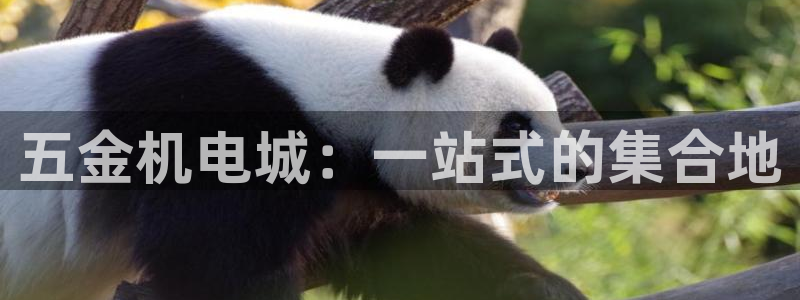 恒行娱乐掏沂74ooo5弛