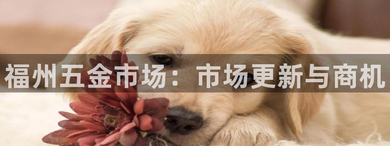 恒行主管总代6ll5l周至