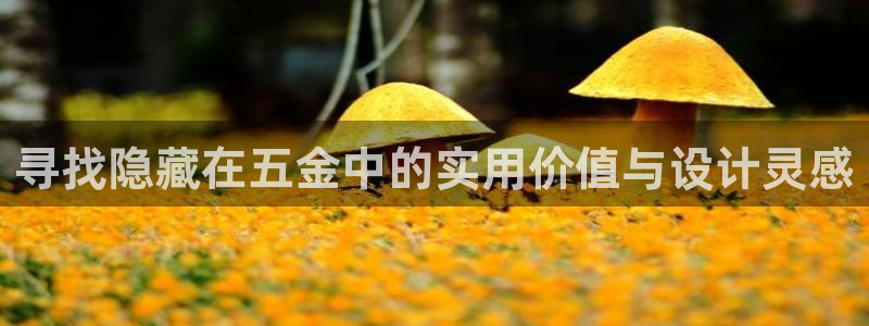 恒行娱乐河沂74ooo5程