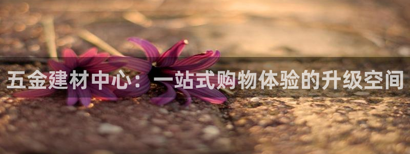 恒行娱乐河沂74ooo5程