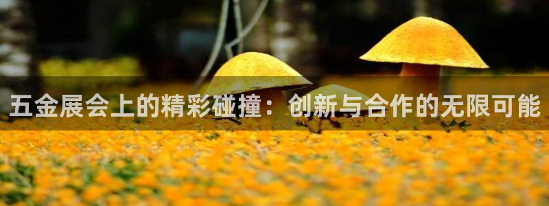 恒行主管首问6ll5l