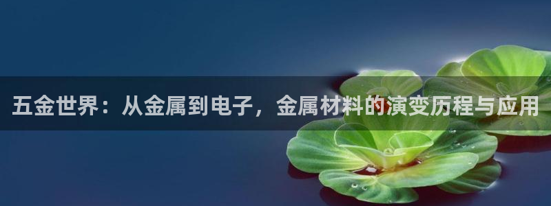 恒行娱乐河沂74ooo5程