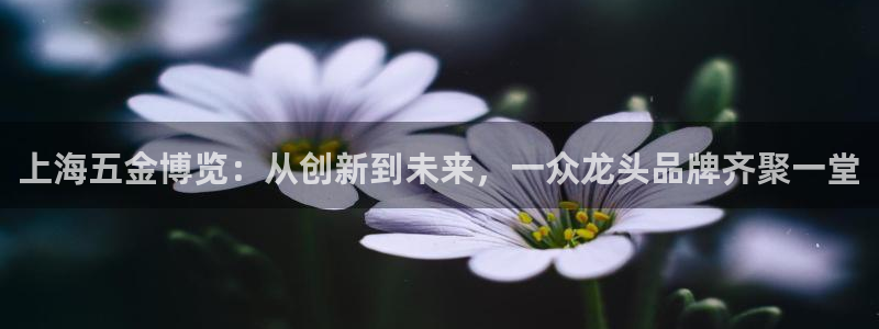 恒行娱乐蒋74OOO5