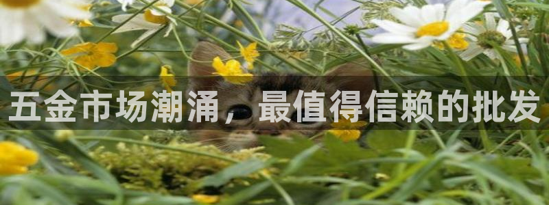 恒行娱乐度74ooo5聘霖