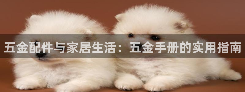 恒指5行情 如来再我心