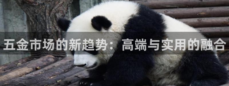 恒行开户全2O5o5O