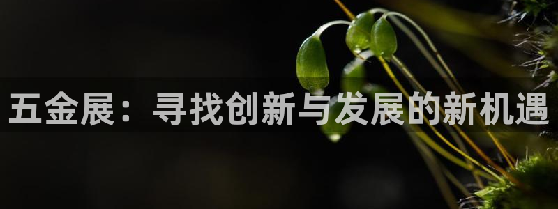 恒行招商老大诚挚 6ll5l