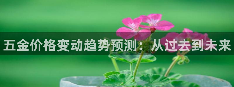 恒行主管招收 6ll5l出奇