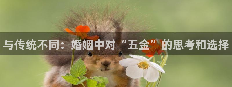 恒指5行情 如来再我心