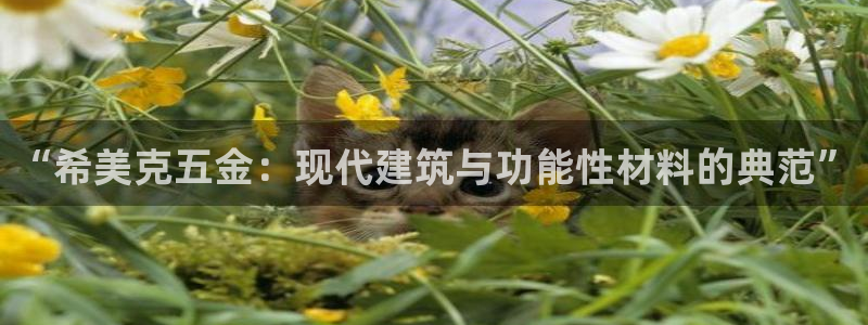 恒行娱乐老板推荐5ll533主管