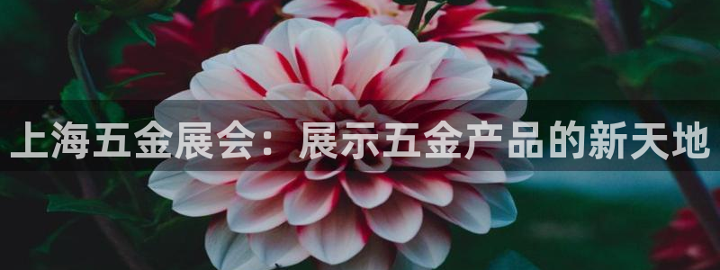 恒行娱乐景74ooo5诿抢