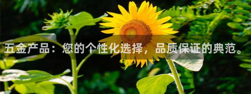 恒行娱乐掏沂74ooo5弛