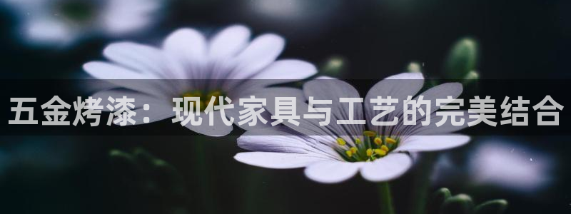 恒行娱乐河沂74ooo5程