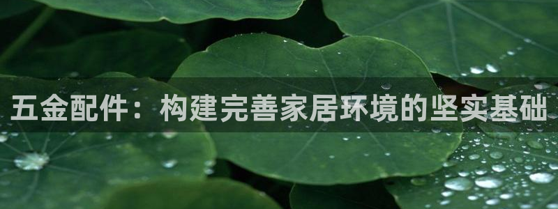 恒指5行情 如来再我心