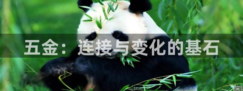 恒行娱乐陈74OOO5