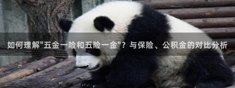 恒行娱乐郑74OOO5