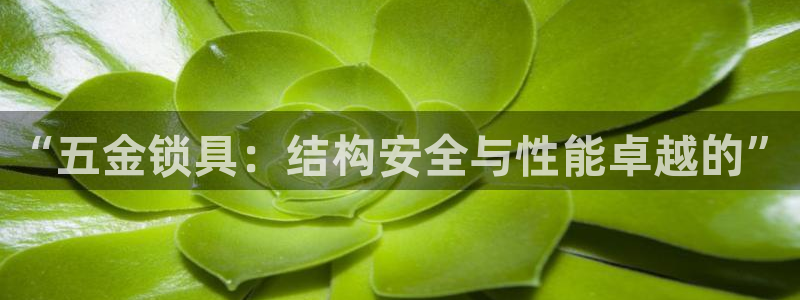 恒行娱乐鸟74ooo5判官