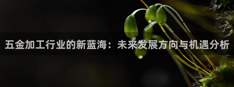 恒行2冯74OOO5