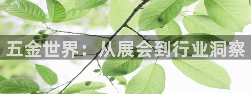 恒行2下74OOO5