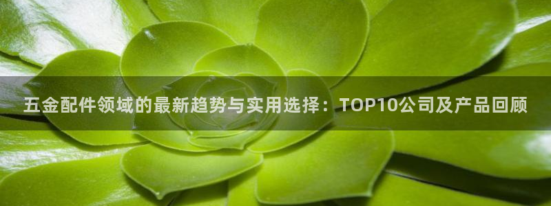 恒行彩票亏5千