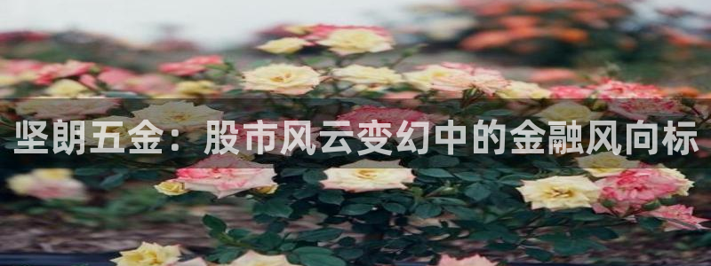 恒行2韩74OOO5
