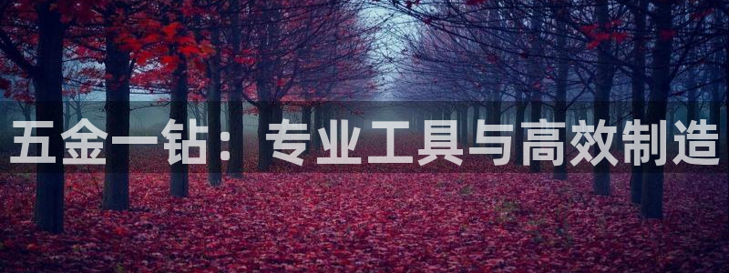 恒行2周74OOO5