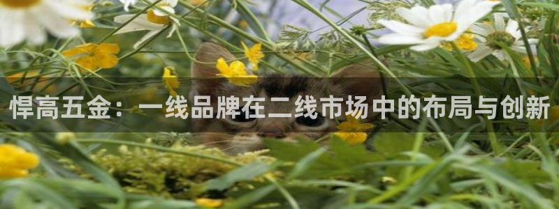 恒行主管6ll5l指定